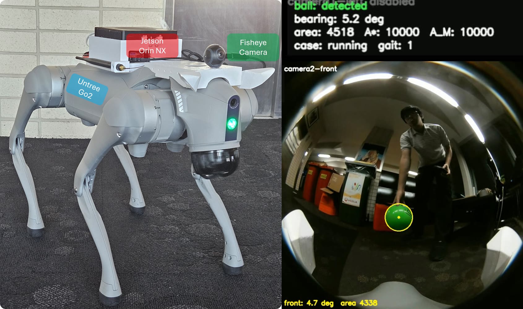 Unitree Go2 robot platform and its interactive object-tracking result